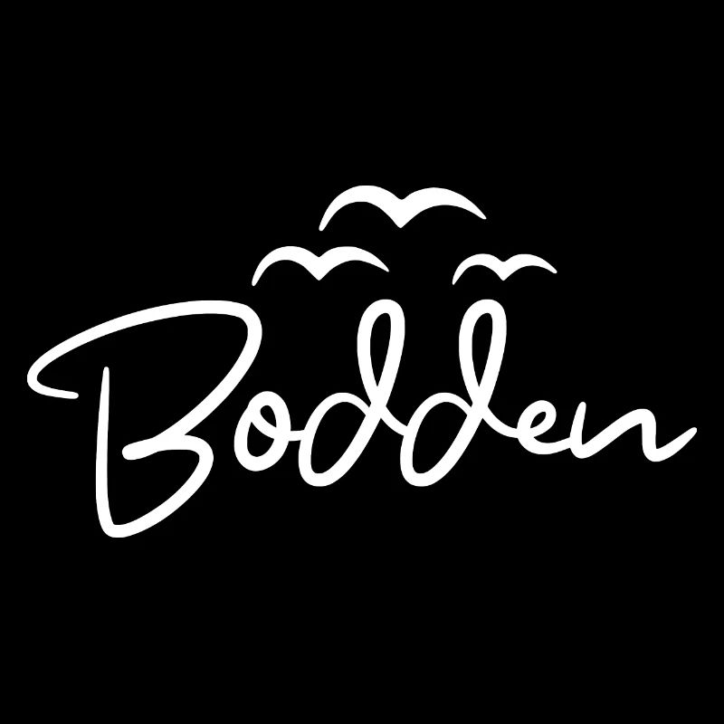 Bodden Ostseeküste Möwen