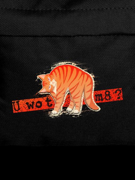 U wot m8 - Orange Cat