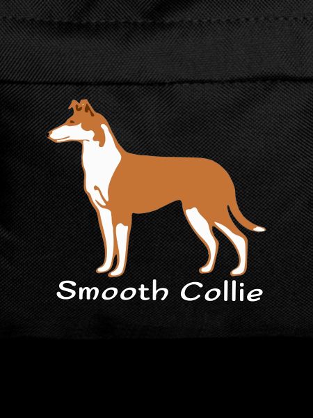 Shorthaired Collie sable