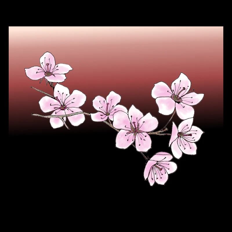 Kirschblüten