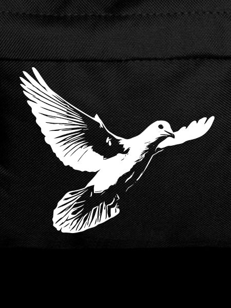 Beautiful white dove of peace