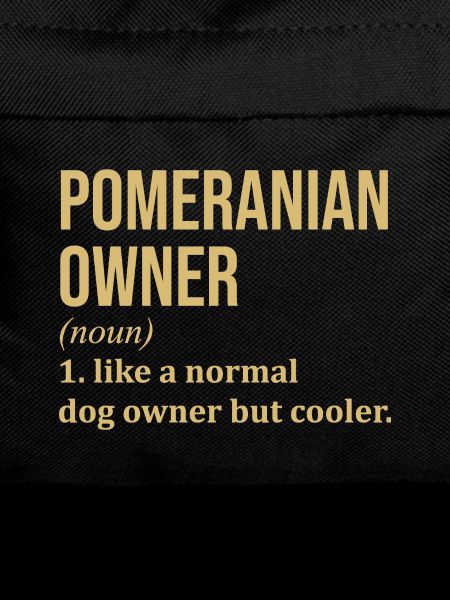 Pomeranian Pomeranian Pomeranian
