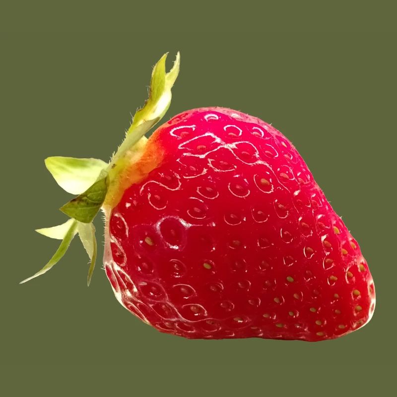 FRAISE
