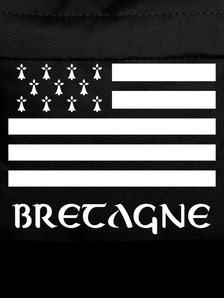 T Shirt BRITTANY Breton Flag