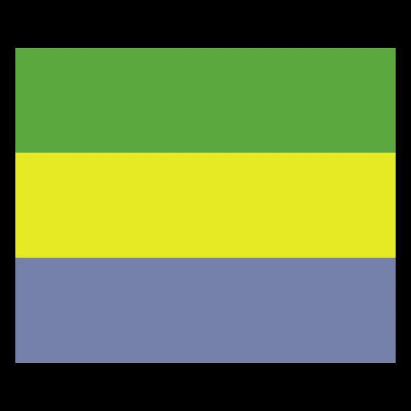 Drapeau gabonais