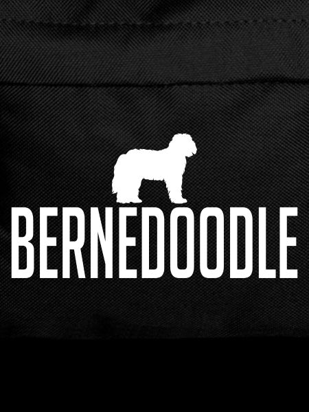 Bernedoodle Dog breeds Dogs Wilsigns