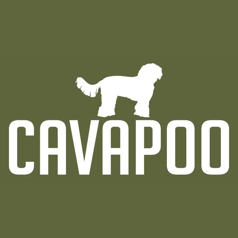 Cavapoo Hunderasse Hunde Wilsigns