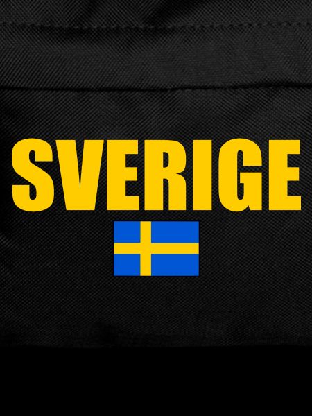 Sweden flag