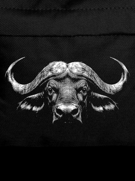 Buffle du Cap
