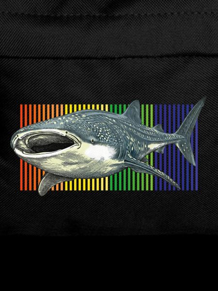 Whale Shark Rhincodon typus