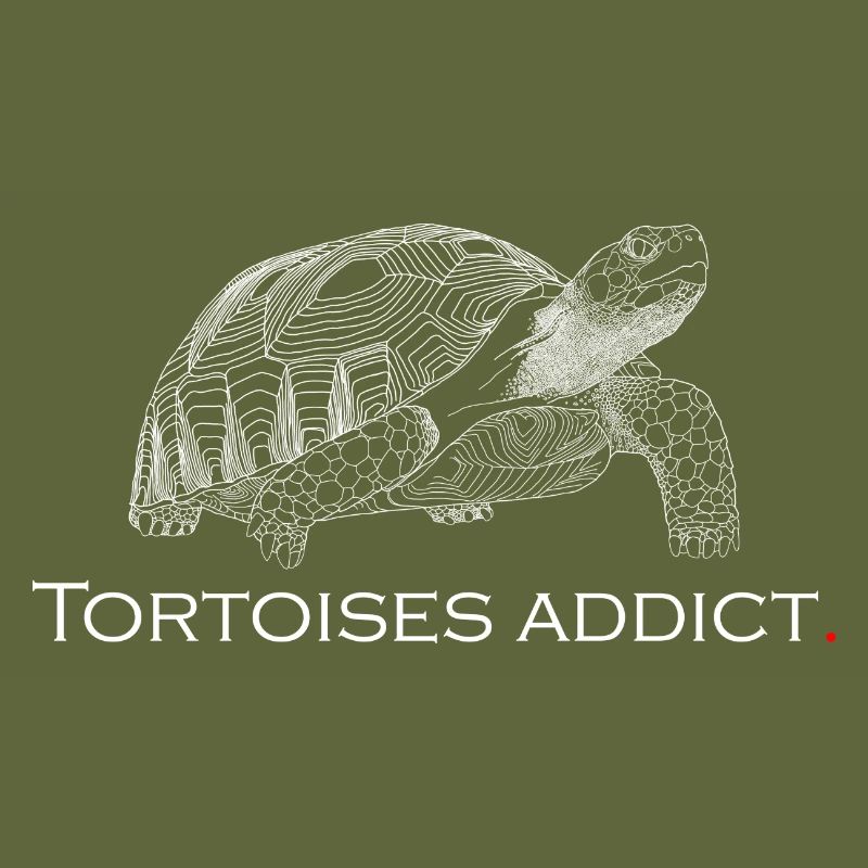 Tortoises addict