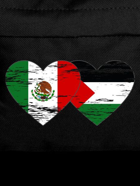 Mexico Palestine Flag Heart Used