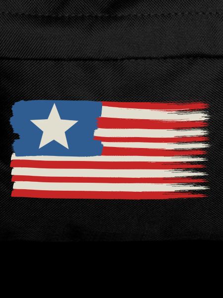 One star Usa flag