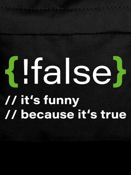 false – Funny programmer saying