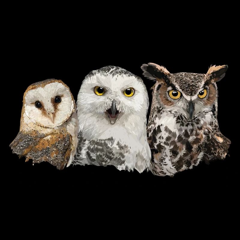 Owls and owl