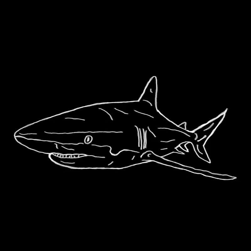 Shark