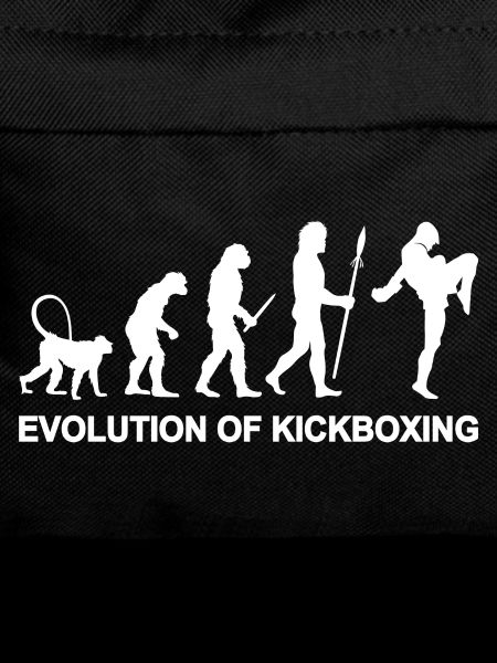 Entwicklung des Kickboxens