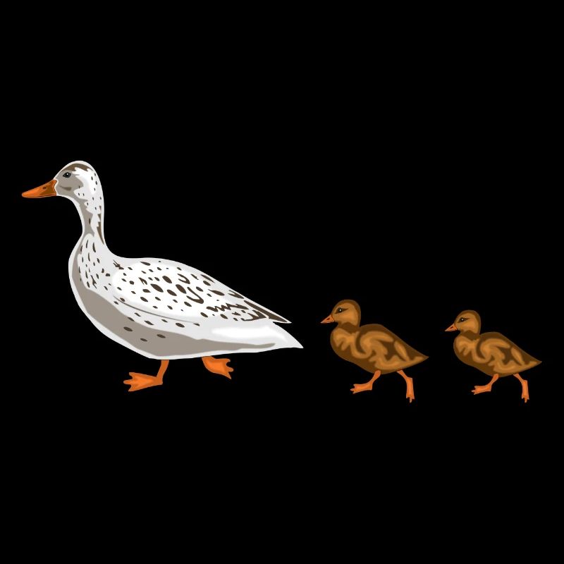 duck