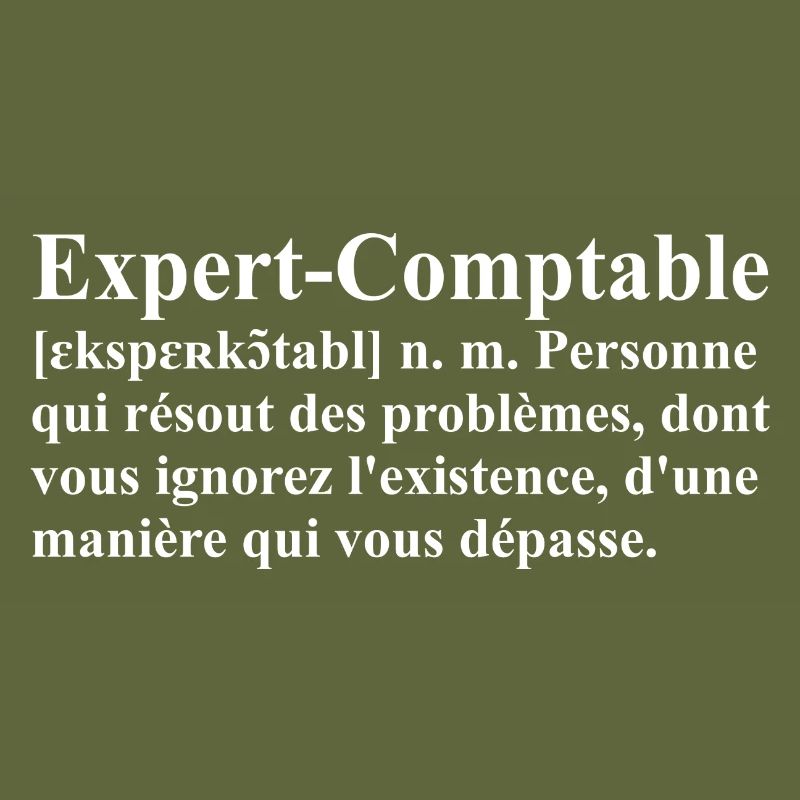 Expert-Comptable Définition