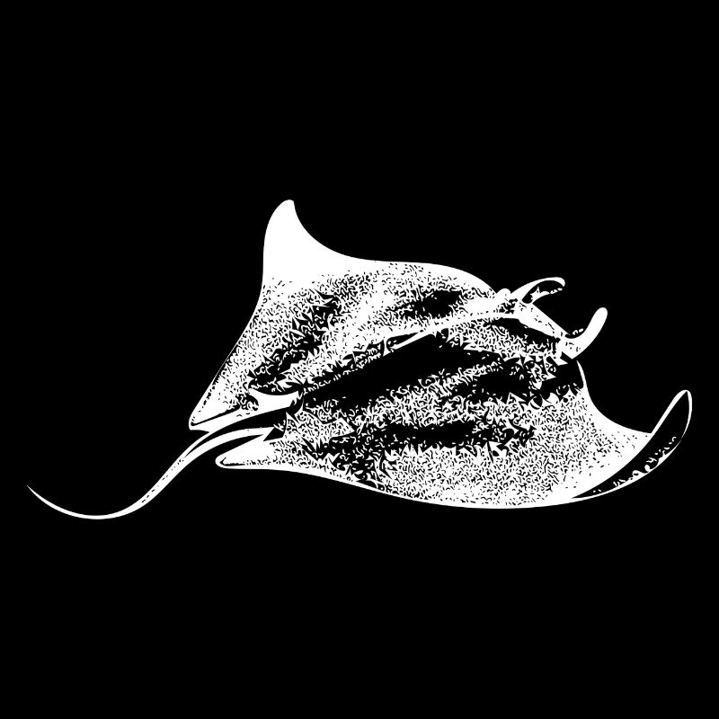 Manta Rochen Sealife