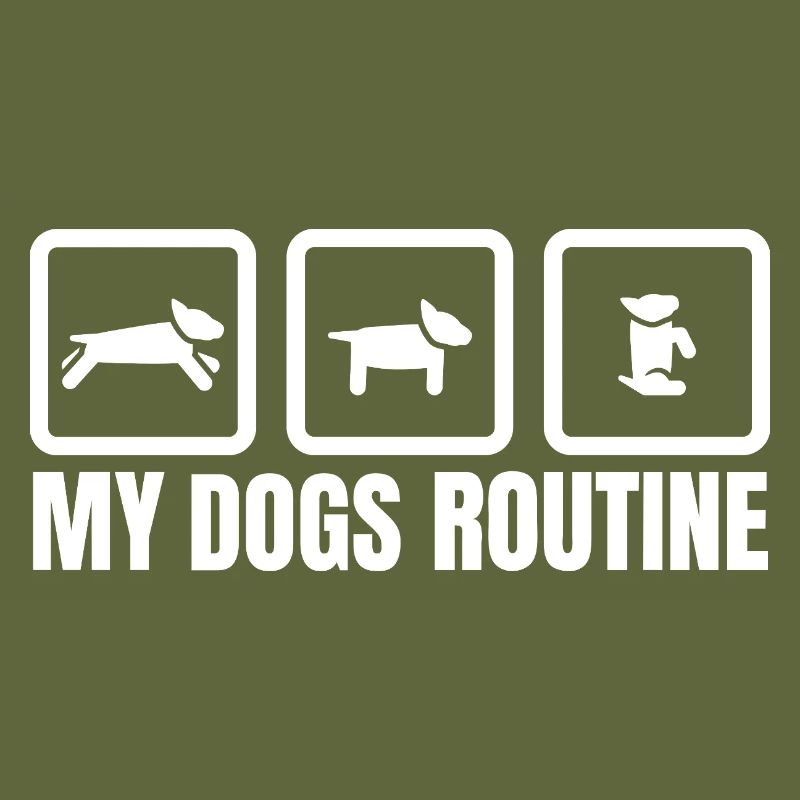 Routine de mes chiens