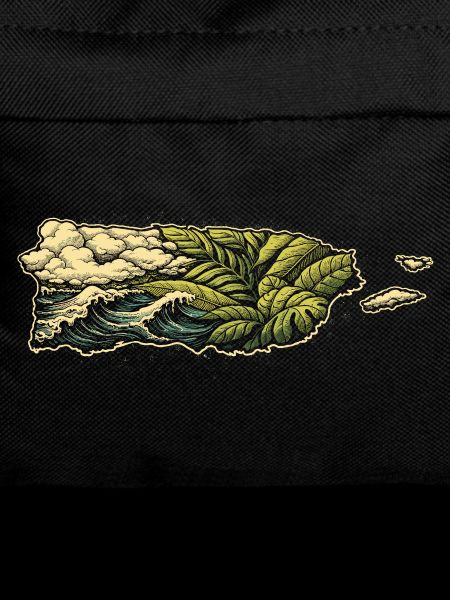 Puerto Rico Boricua
