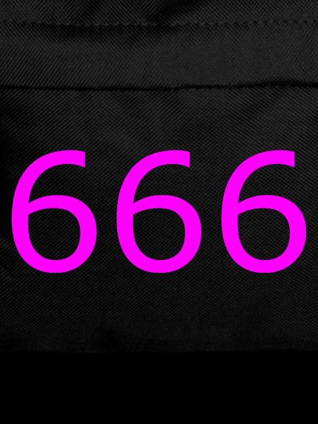 666