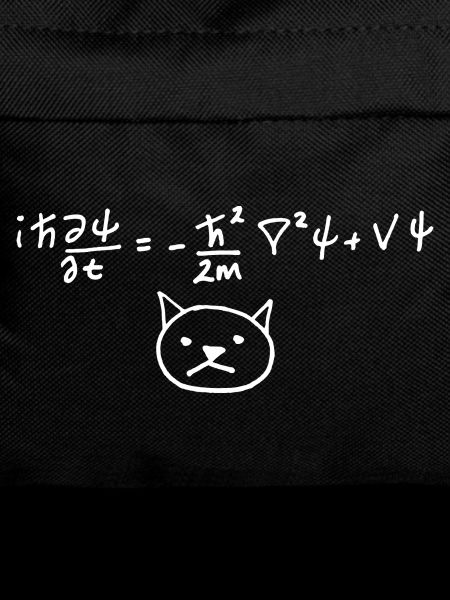 Physical Cat with Equation on White