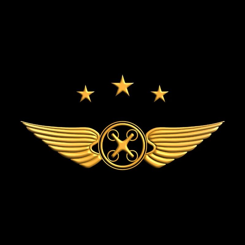 Drone Pilot Drone Fly Drone Pilot