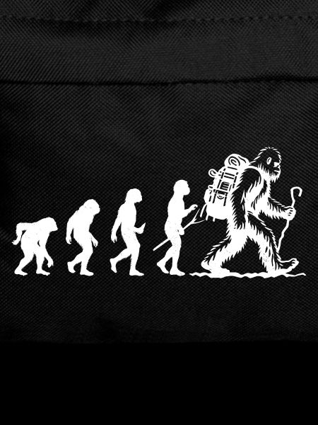 Bigfoot Sasquatch Cache-cache Dictons