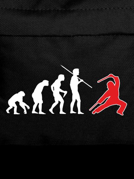 Escrima Evolution 4