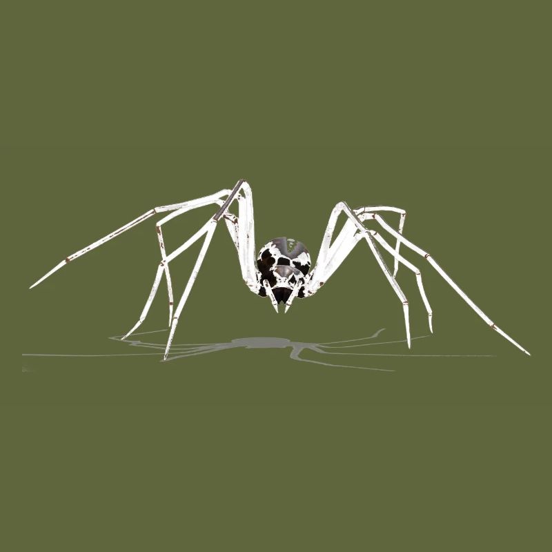 spider, spider, spider,