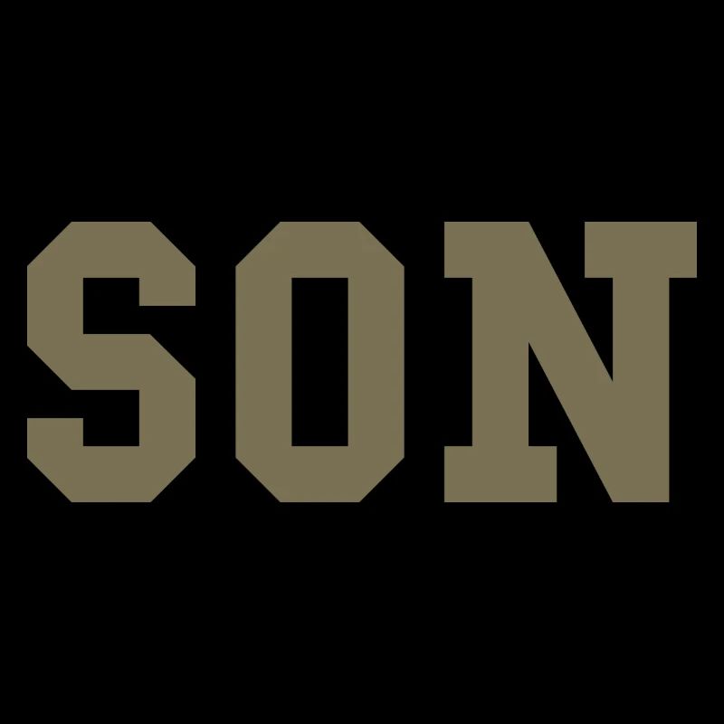 SON – Déclaration de style universitaire