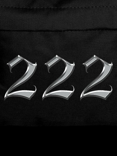 Angel Number 222 Alignment 