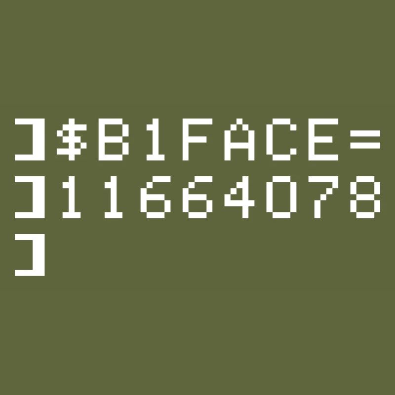 B1FACE Biface Code hexadécimal 8 bits Geek