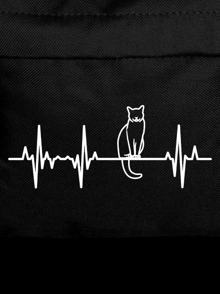 Palpitations cardiaques de chat