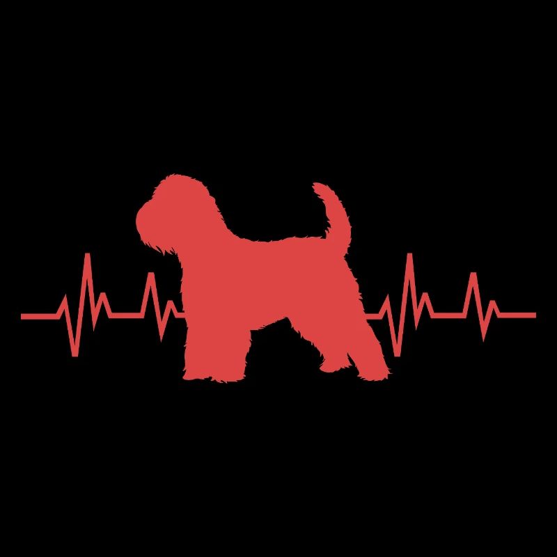 Wheaten Terrier