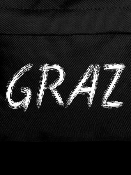 Graz Brush Street Art