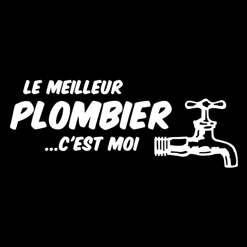 le meilleur plombier c'est moi