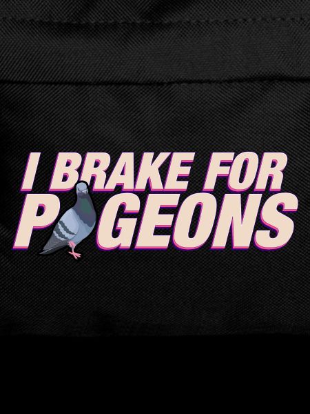 I brake for pigeons