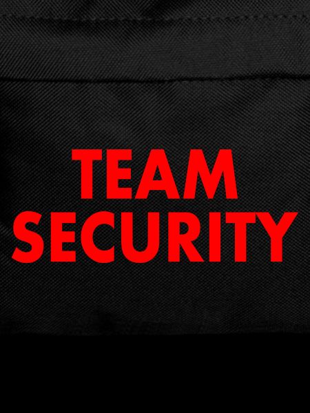 Team security