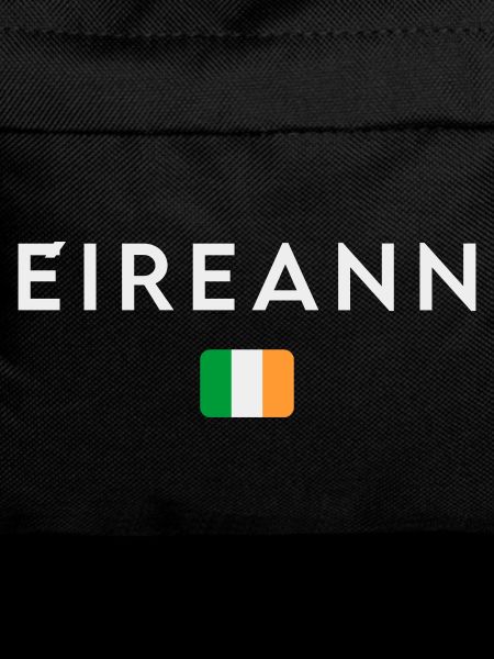 Flag of Ireland, Irish Pride