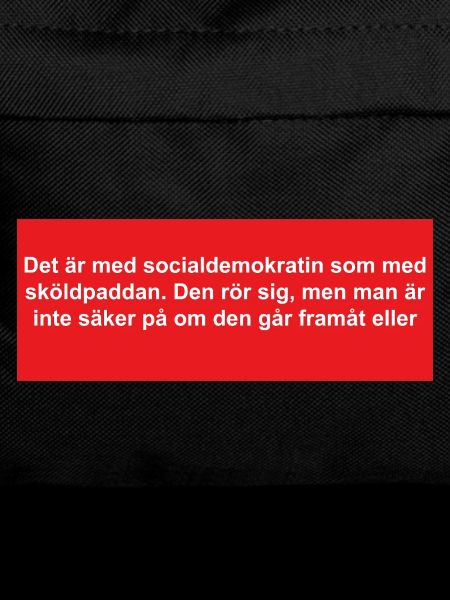 Social Democratic Turtle in Red Background