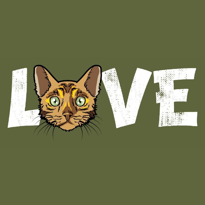 Portrait de race de chat Bengal Chat amoureux de l’animal de compagnie Gi