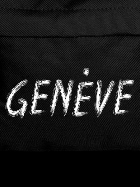 Geneva Stylized Brush Letters