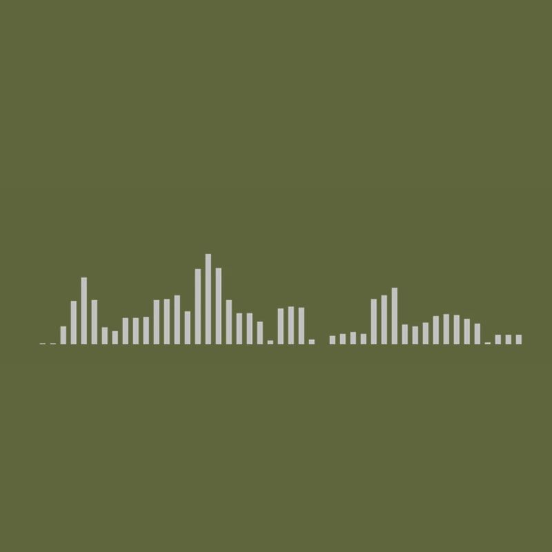 Visualizer