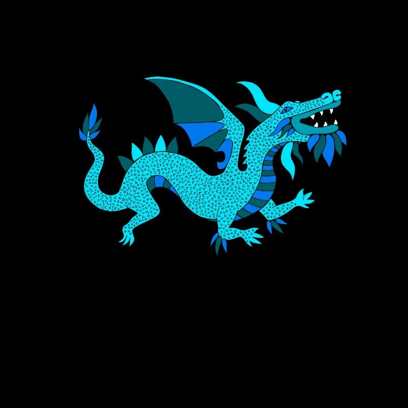Kinder Shirt ● Drache ● Geschenk
