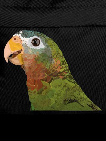 Yellow-billed Amazon