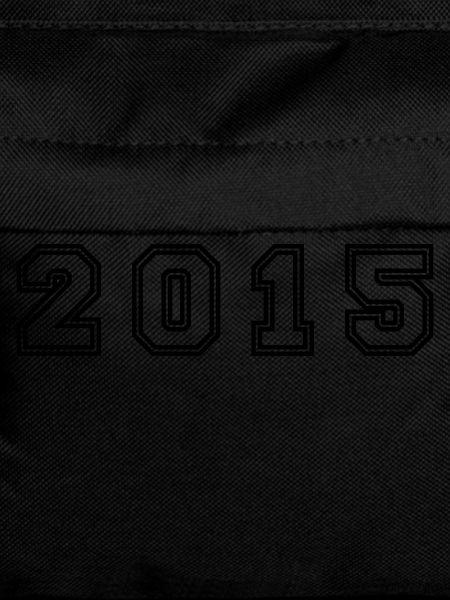 2015 Year Number