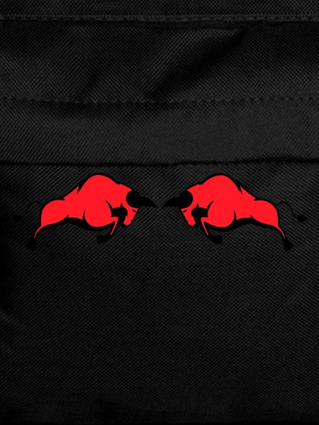 bulls